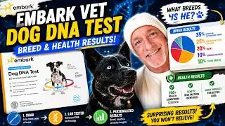 Embark Vet DNA Canine Health Test