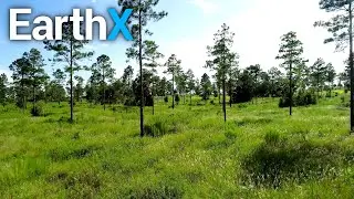 What Did Miami Used to Look Like? | Kill Your Lawn | EarthX