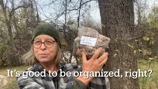 Planting Daffodils for Naturalizing & Other Musings