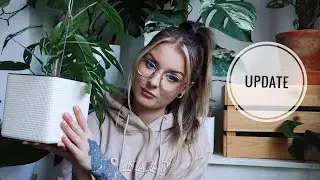 ...10 miesięcy później - LECHUZA Update