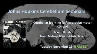 Takeru Honda: Cerebellar learning fulfills precise motor control