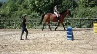 Nicole Forester Rising Trot At Finlake RC x