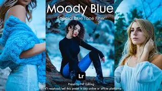 Moody Blue - Lightroom Mobile Presets | Blue Tone Filter Preset | Soft Blue Preset