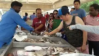 Fish Market in Corniche, Doha, Qatar