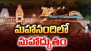 మహానందిలో మహాద్భుతం..! మహానందిలో వైభవంగా జలహారతి కార్యక్రమం | Mahanandi Temple | Bhakthi Nilayam