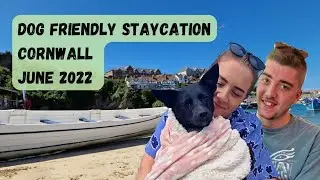CORNWALL Mini Vlog | DOG Friendly Staycation | 2022