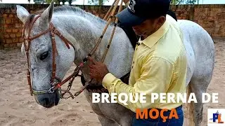 COMO USAR O BREQUE CARA MOLE QUE TEM FORMATO DE PERNA