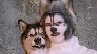 Transforming Myself into My Husky While He is Chaos!