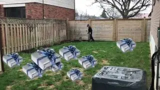 How one company is turning dog waste into electricity