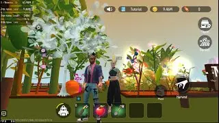 MY Tree Garden Science and Technology Finance #turnament #live