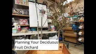 Planning Your Deciduous Fruit Orchard