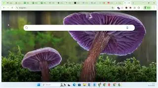 SEO Class 1 Jan | Introduction to SEO & How Search Engines Work | Appin Technology