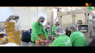 BEST FOOD CO LLC NUTS UNIT DIP Dubai