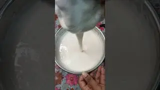 Perfect Dosa Batter at Home 🥞 | Crispy & Fermented Just Right!#DosaBatter#HomemadeDosa#SouthIndian