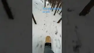 How to snow skate with your dog 101 #archiesdogco #goldenretriever #archie #treats