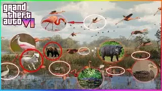 GTA 6 ALL NEW Animals Coming To The Game...HUGE Map Update!