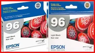 Great product -  Epson T096720 Stylus Photo R2880 Printer UltraChrome K3 Ink Cartridge (Light Black)