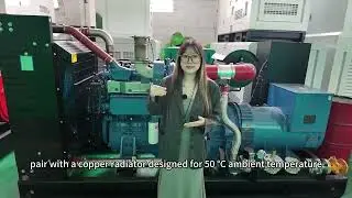 Yuchai 300KW Open-Frame Natural Gas Genset