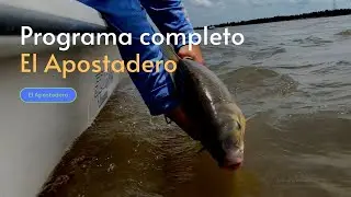 El Apostadero 1165. Programa completo