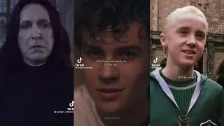 Harry Potter TikToks that I found in the Slytherin common room