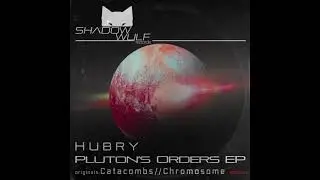 Hubry - Chromosome (Original Mix)
