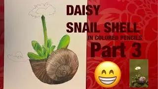 Drawing a daisy snail shell in colored pencils part 3 (Real Time)