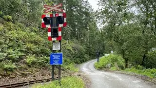 (Rare wigwags) Forestry level crossing part 3 (Gwynedd) 25/06/25