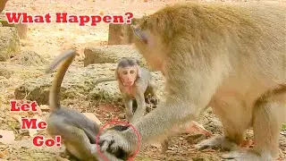 Very So Sad Poor Baby Jayden!Mom Jade Left Jayden Alone|King Mark Beat Baby Jayden So Badly
