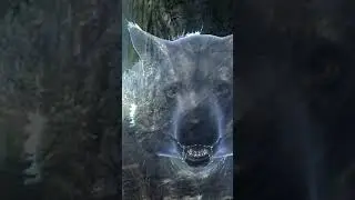 Skyrim - Ночной кошмар- #shorts #skyrim #rpg #dragon #юмор #tes #games #игры #gameplay