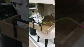НАКОНЕЦ-то! 💃 УЮТные НоВиНкИ для ДОМА 🏡 #familia #магазинфамилия #shorts