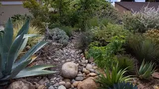 Rain garden features keep everything green longer