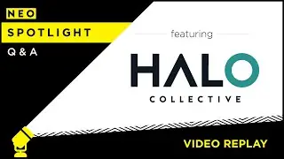 NEO Spotlight | Halo Collective Inc.