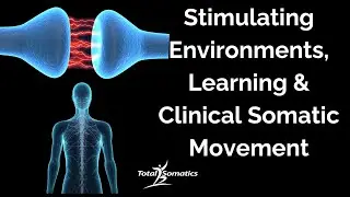 Stimulating Environments, Learning & Clinical Somatic Movement