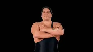Andre the Giant Transformation ( 1946-1993 ) #wwe #wrestling #andrethegiant #giant #wwf #shorts #usa