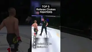 Top 5 Times Fighters ATTACKED the Ref 😳 #mma #mmafight #ufc #boxing #knockout