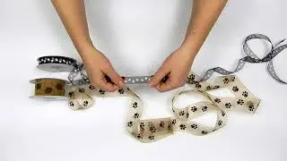 Paw Print Organza Ribbon (Item # 4857439)