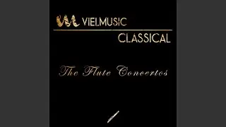 Harpsichord Concerto in D Minor, Wq. 22: I. Allegro (Arr. for Flute, Strings and Basso Continuo)