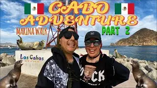🛥️ Walking Tour Cabo Marina 🦭 Bilingual | Stunning Views, Restaurants & Seal