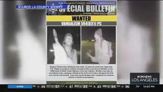 Malibu vandal arrested