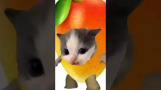 #вилли #cat #сваты6