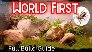 I Built a Skull Garden for My Jumping Spider | Full Bioactive Build Tutorial | World First
