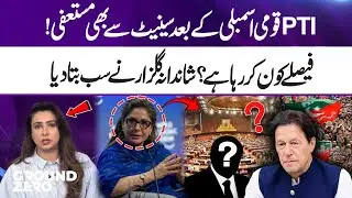 PTI Resigns from Senate After National Assembly! Who&rsquo;s Making Decisions? Shandana Gulzar Reveals All