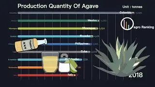 The Production of Agave fibres (1961 - 2018)