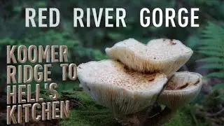 Ultralight Backpacking | RRG - Koomer Ridge To Hell's Kitchen