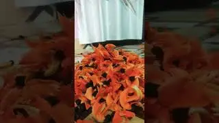 wanderfull flowers #panda sister vlog