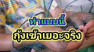 EP.132 ทำแบบนี้ กุ้งเข้าเยอะจริง..วิธีแก้ไขที่ดักกุ้ง..ให้ดักแล้วได้กุ้งเยอะๆ..แบบละเอียดทุกขั้นตอน