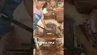 How do the Chinese make palm leaf hats? #palm #shorts