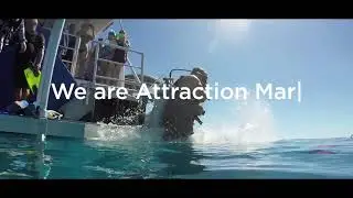 iWerx Connect | Strategic Destination & Tourism Digital Marketing