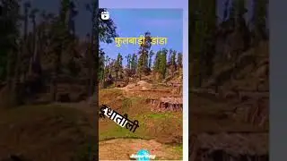 #पहाड़ीlife #negidaa #नरेन्द्रसिहनेगी  #dandikanthi