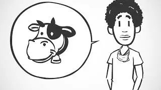 Vet Tech 101: What It Means to Be a Certified Veterinary Technician
